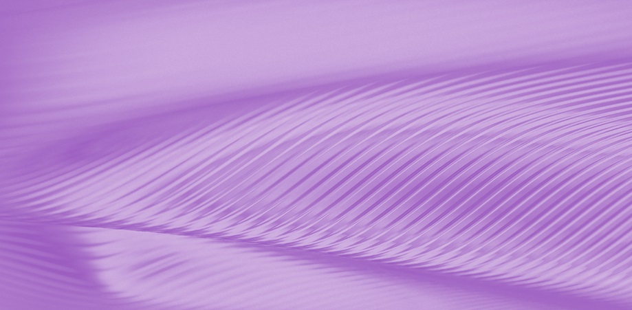 International Qualification Network